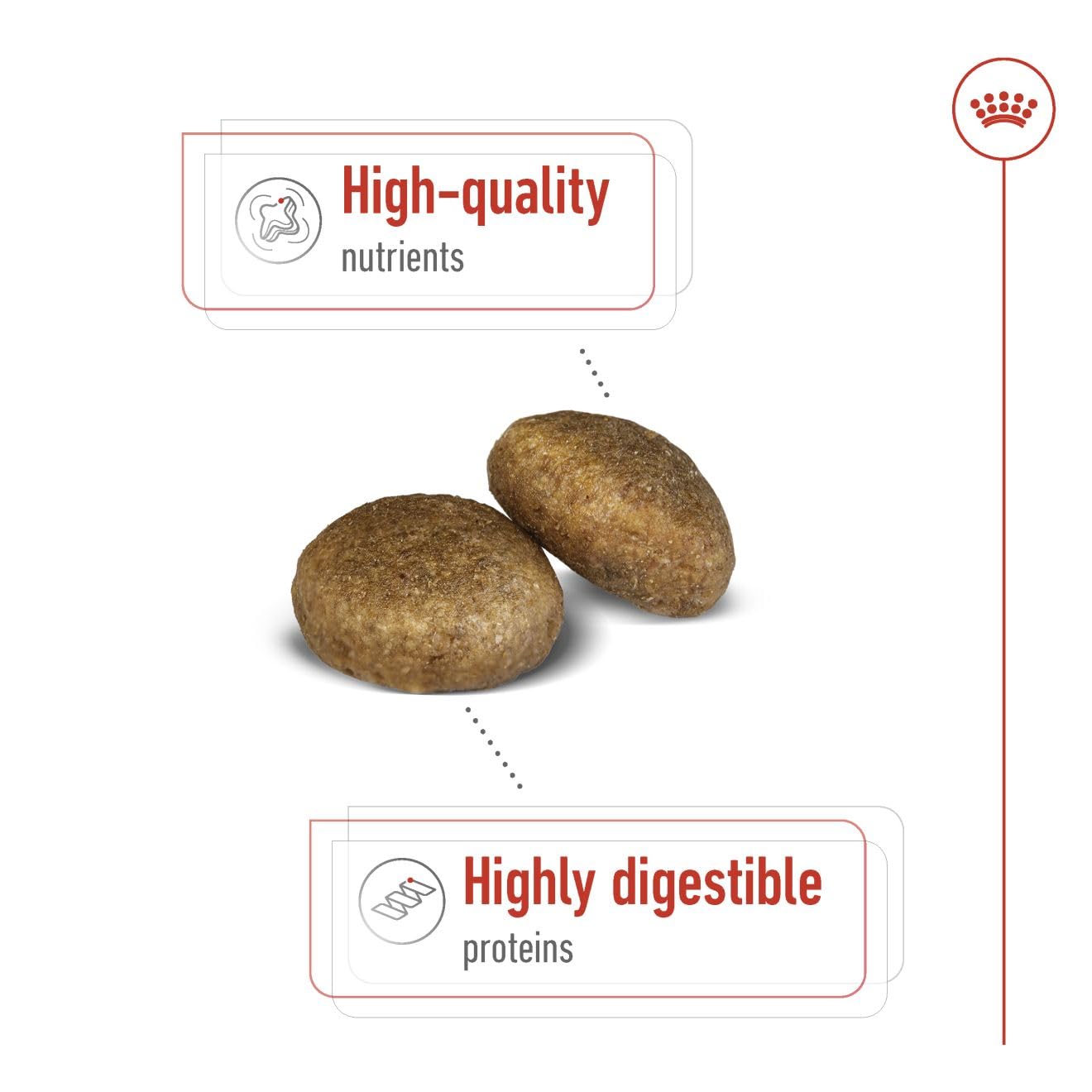 Royal Canin Maxi Adult Dog Food, 10 Kg, Dry Food, Supports Digestive Health & Optimal Health, Provides Bone & Joint Support