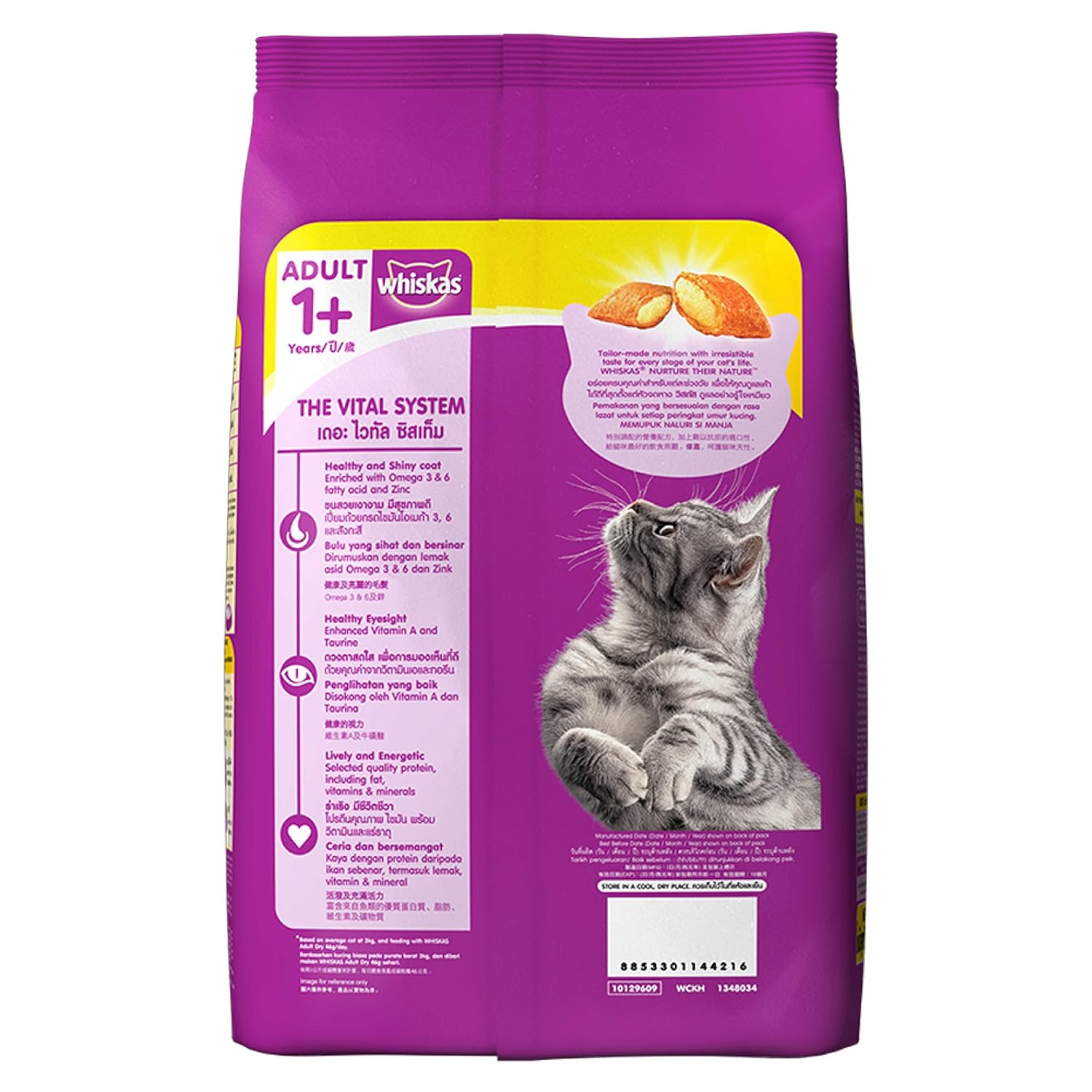 Whiskas Adult (+1 Year) Dry Cat Food, Chicken Flavour, 1.2Kg Pack & Kitten (2-12 Months) Dry Cat Food, Mackerel Flavour, 450G Pack