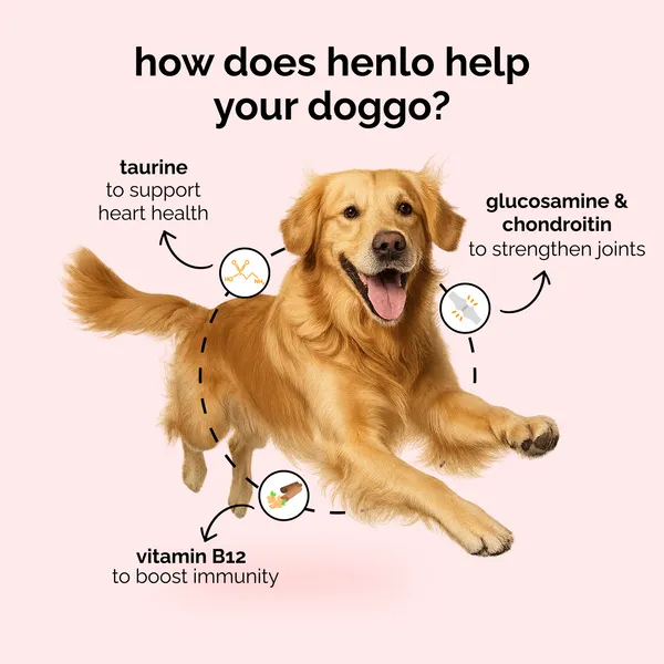 Henlo Baked Chicken & Liver and Chicken & Rice Dog Dry Food Combo 800+800