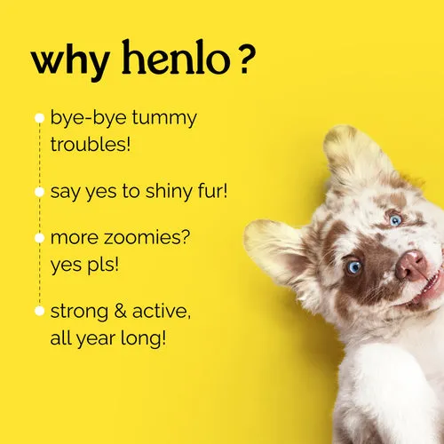 Henlo Baked Chicken & Liver and Chicken & Rice Dog Dry Food Combo