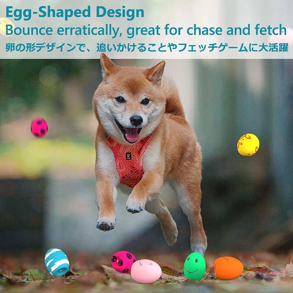 SCHITEC Squeaky Dog Ball